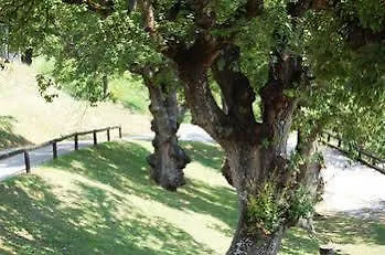 Campsite Camping Morunys *